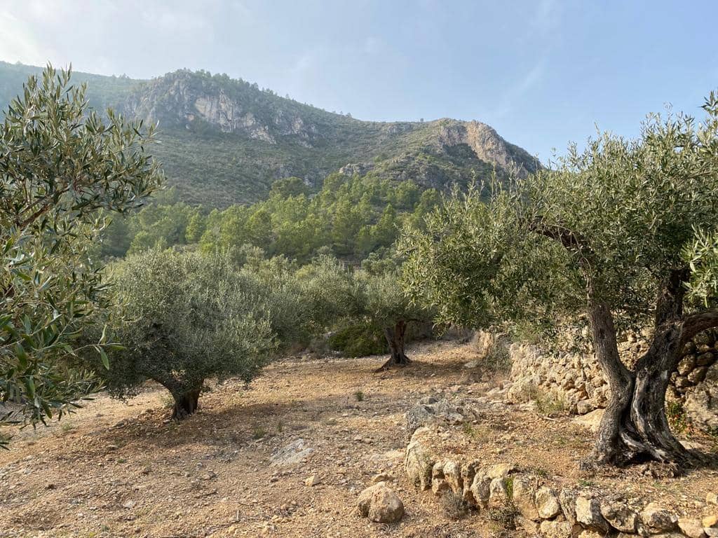 Grunde uden byggetilladelser til salg i Pratdip - € 120.000 (Ref: 9479471)