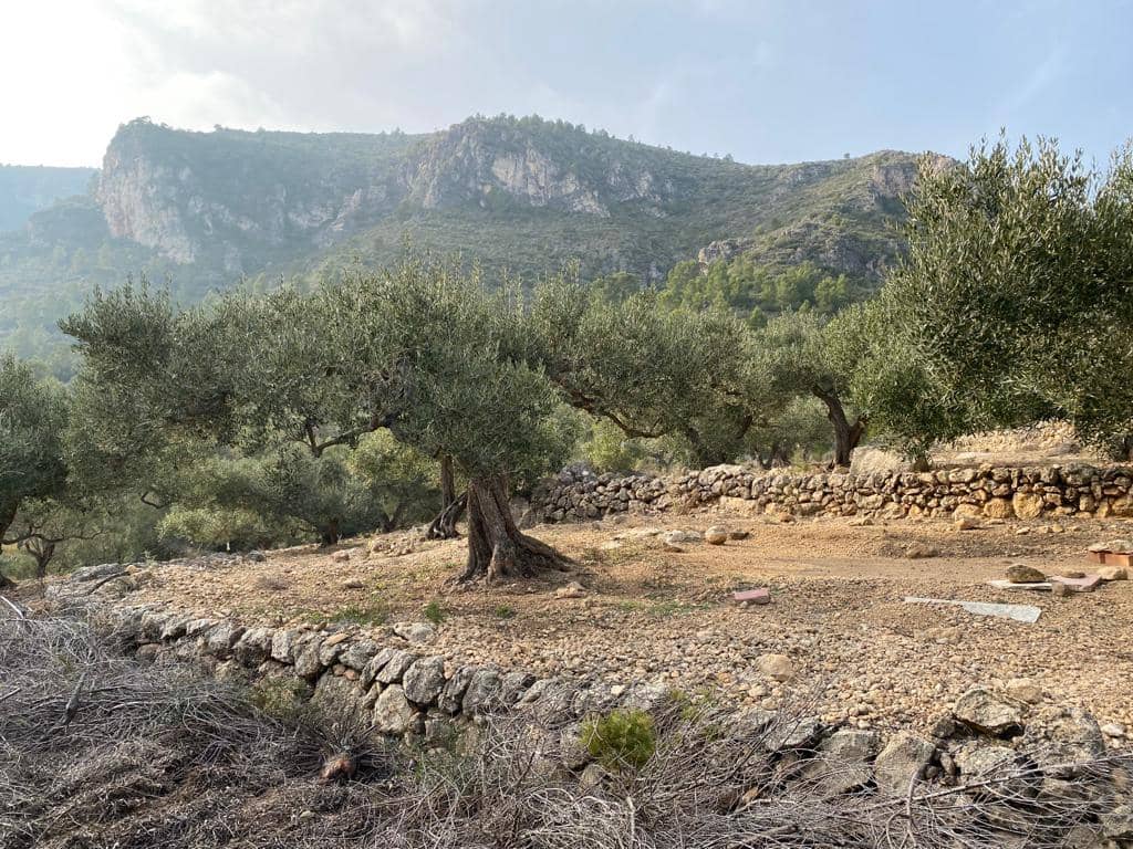 Grunde uden byggetilladelser til salg i Pratdip - € 120.000 (Ref: 9479471)