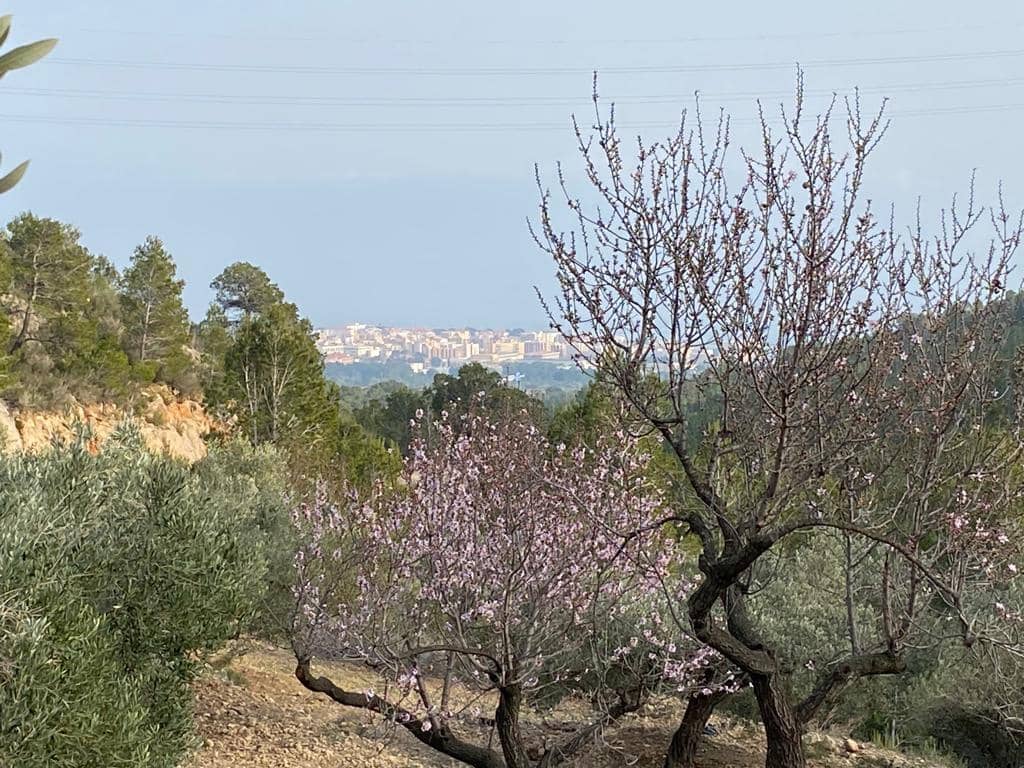 Grunde uden byggetilladelser til salg i Pratdip - € 120.000 (Ref: 9479471)