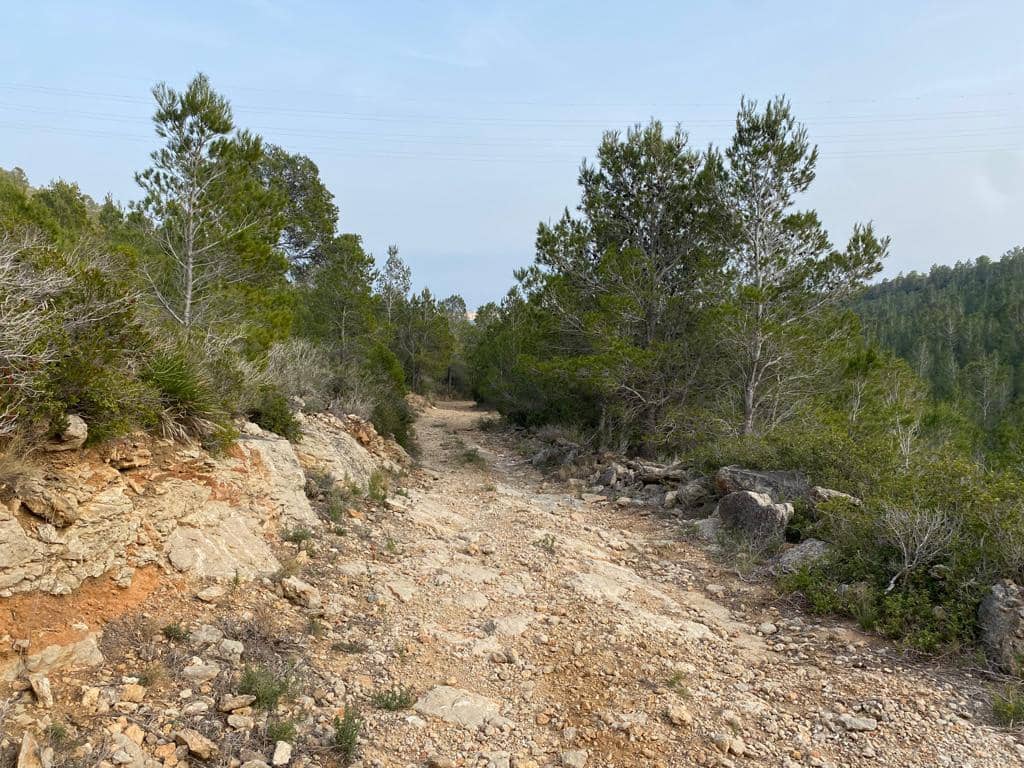 Grunde uden byggetilladelser til salg i Pratdip - € 120.000 (Ref: 9479471)