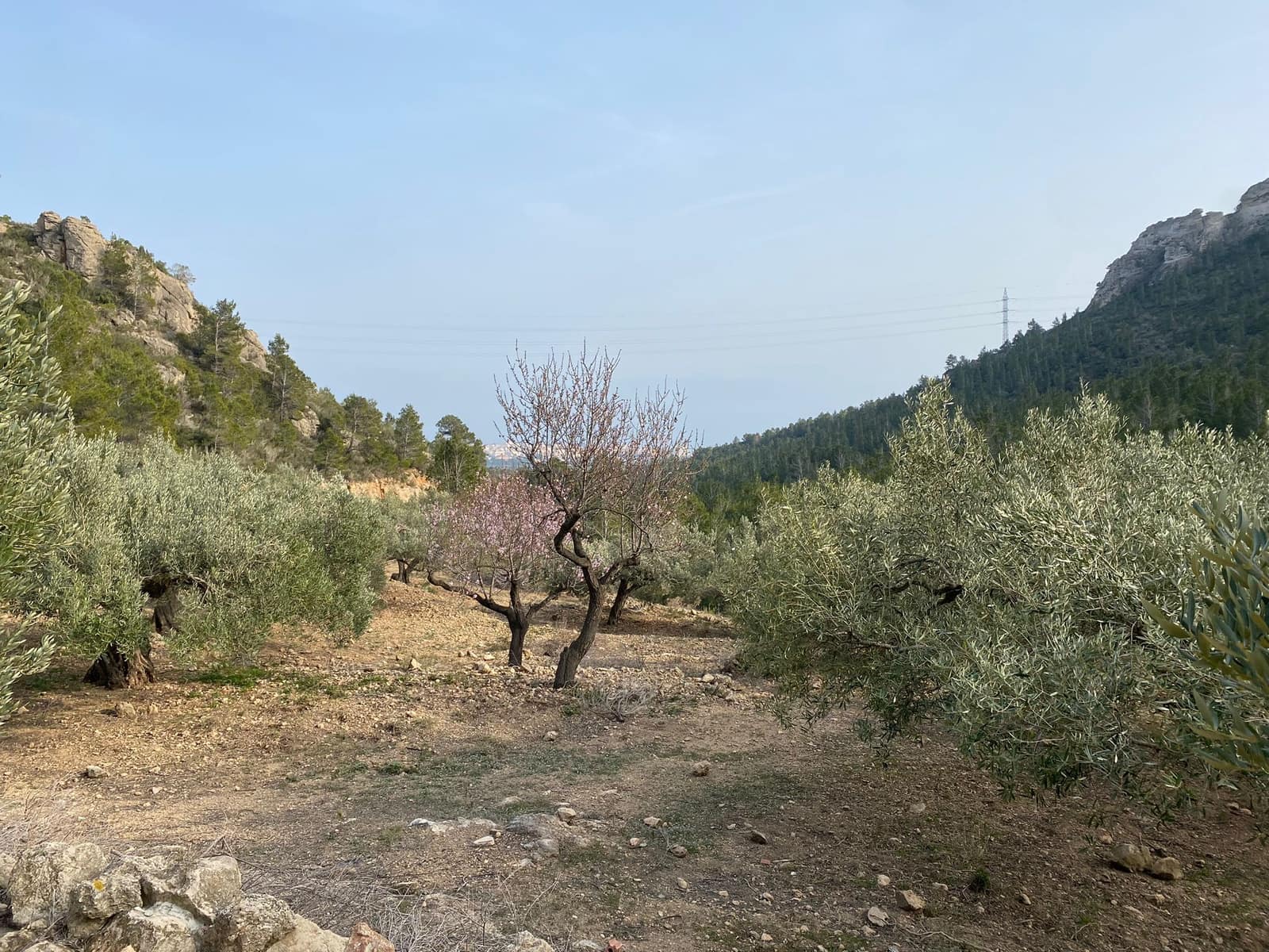 Grunde uden byggetilladelser til salg i Pratdip - € 120.000 (Ref: 9479471)