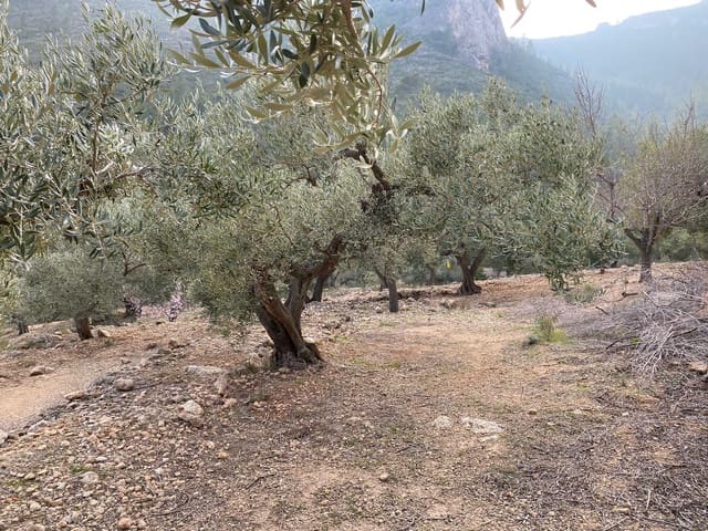 Ubebygd land til salgs i Pratdip - € 120 000 (Ref: 9479471)