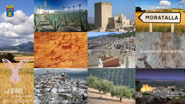 Terreno Não Urbanizado para venda em Moratalla - 1 999 000 € (Ref: 9479472)