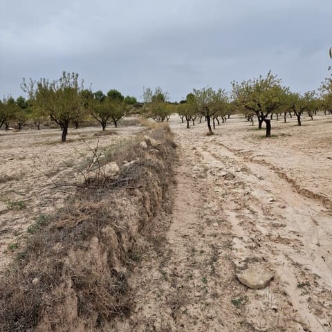 Terreno Não Urbanizado para venda em Moratalla - 1 999 000 € (Ref: 9479472)