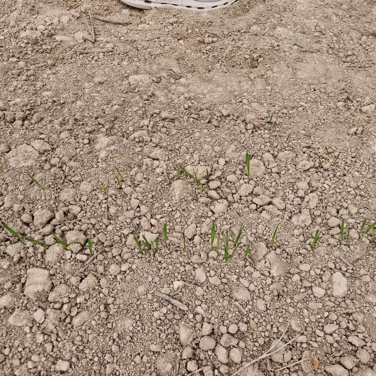 Terreno Não Urbanizado para venda em Moratalla - 1 999 000 € (Ref: 9479472)