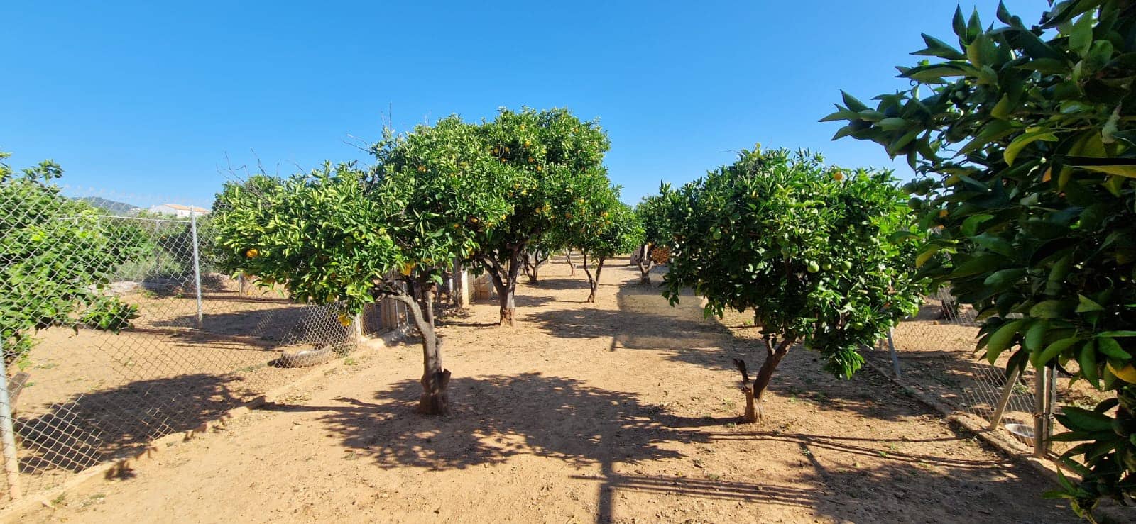 4 slaapkamer Villa te koop in Oliva met zwembad - € 599.000 (Ref: 9479473)