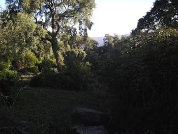 Rakentamaton maa myytävänä paikassa Colmenar - 1 500 000 € (Ref: 9479482)