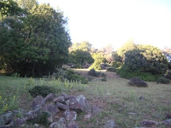 Rakentamaton maa myytävänä paikassa Colmenar - 1 500 000 € (Ref: 9479482)