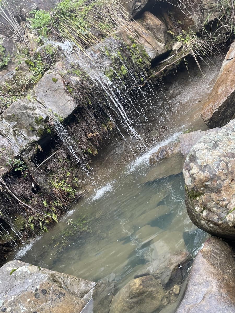 Rakentamaton maa myytävänä paikassa Colmenar - 1 500 000 € (Ref: 9479482)