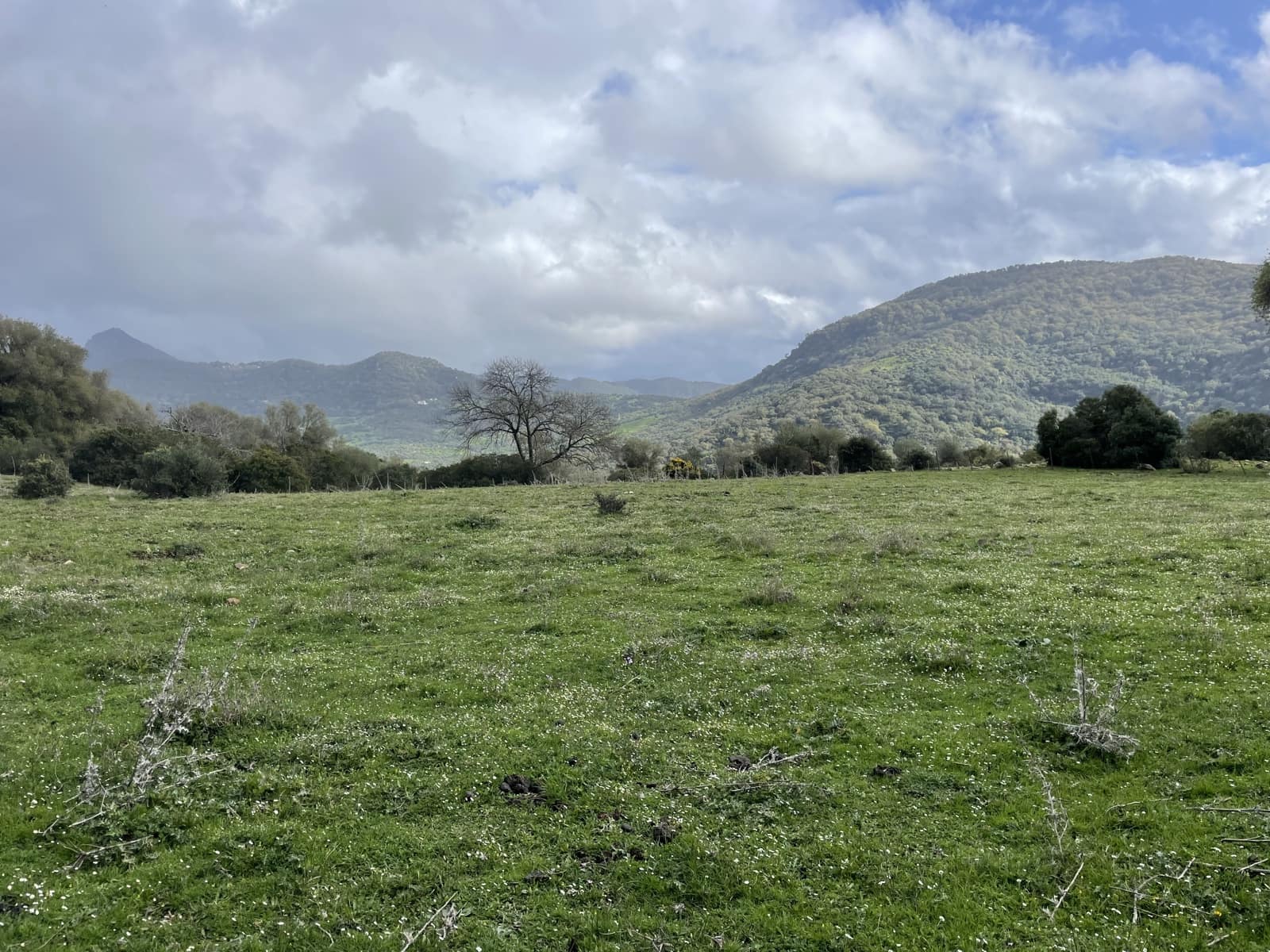 Rakentamaton maa myytävänä paikassa Colmenar - 1 500 000 € (Ref: 9479482)