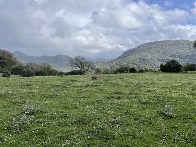 Rakentamaton maa myytävänä paikassa Colmenar - 1 500 000 € (Ref: 9479482)