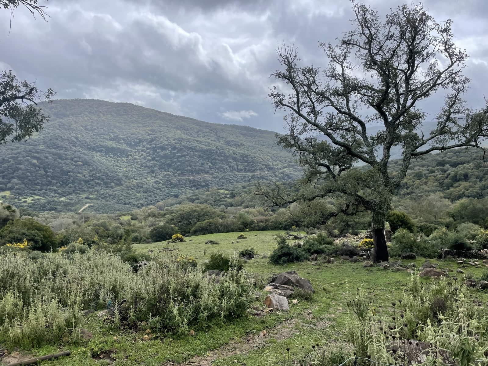 Rakentamaton maa myytävänä paikassa Colmenar - 1 500 000 € (Ref: 9479482)