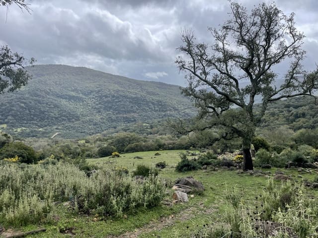 Rakentamaton maa myytävänä paikassa Colmenar - 1 500 000 € (Ref: 9479482)