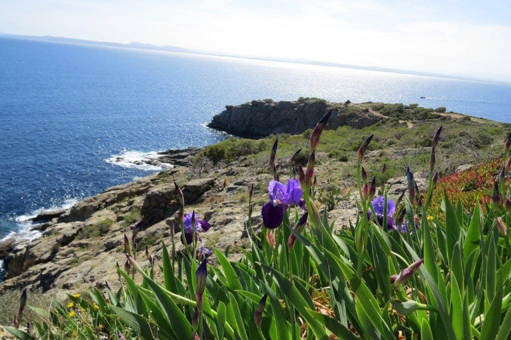 3 makuuhuone Huoneisto myytävänä paikassa Roses mukana uima-altaan - 520 000 € (Ref: 9479484)