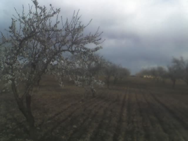 Undeveloped Land for sale in Yecla - € 125,000 (Ref: 9479489)