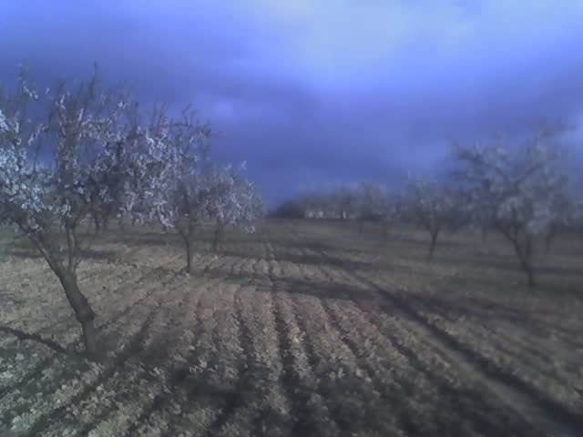 Undeveloped Land for sale in Yecla - € 125,000 (Ref: 9479489)