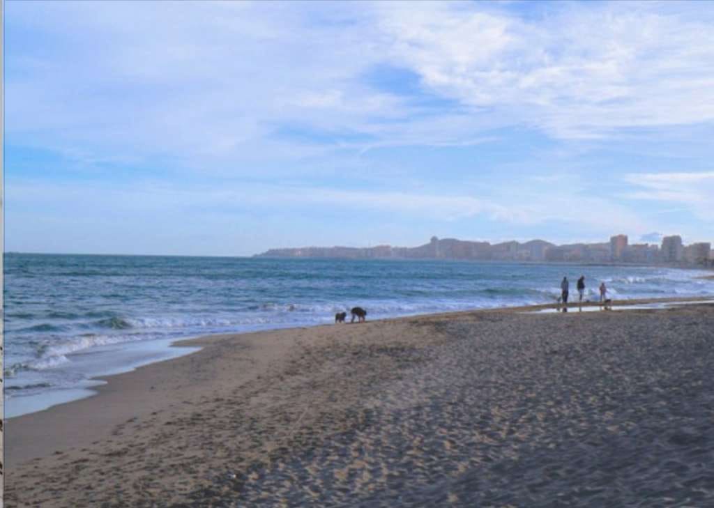 2 bedroom Apartment for sale in Benalmadena with pool - € 439,000 (Ref: 9479498)