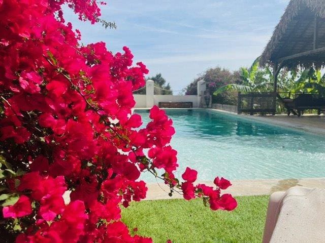 5 bedroom Villa for sale in Ibiza / Eivissa town - € 3,000,000 (Ref: 9479501)