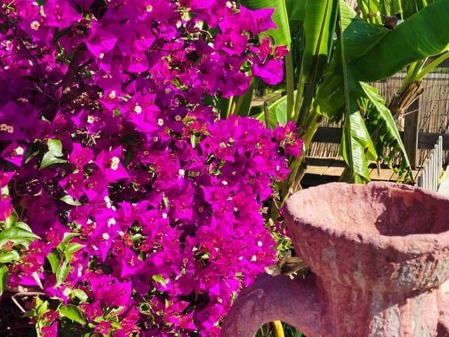 5 soveværelse Villa til salg i San Jose / Sant Josep de Sa Talaia - € 3.000.000 (Ref: 9479501)