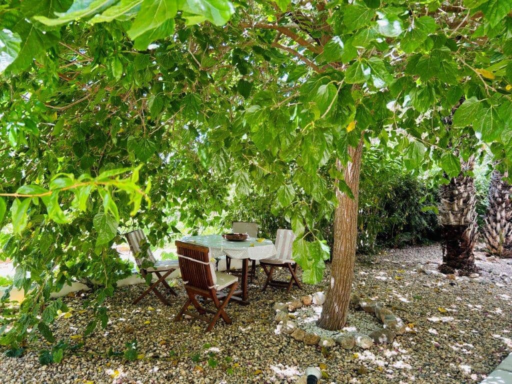 5 bedroom Villa for sale in Ibiza / Eivissa town - € 3,000,000 (Ref: 9479501)