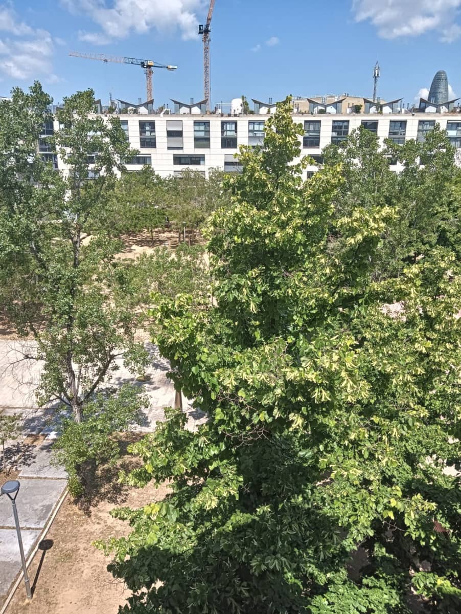 4 chambre Appartement à vendre à Barcelone ville avec piscine - 965 000 € (Ref: 9479503)