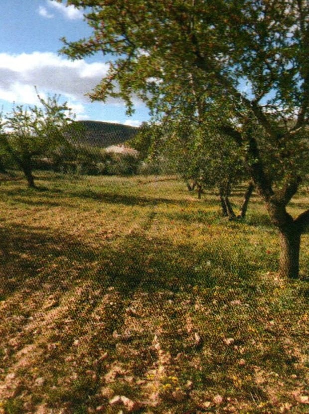 6 sypialnia Willa na sprzedaż w Elche de la Sierra z basenem - 179 950 € (Ref: 9479504)