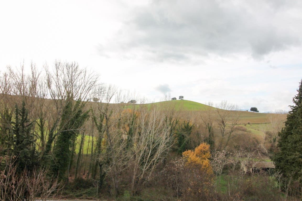 5 bedroom Finca/Country House for sale in Ronda - € 399,000 (Ref: 9479508)