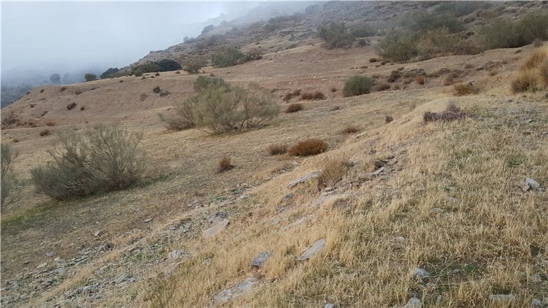 Landgrundstück zu verkaufen in Soportujar - 74.000 € (Ref: 9479513)