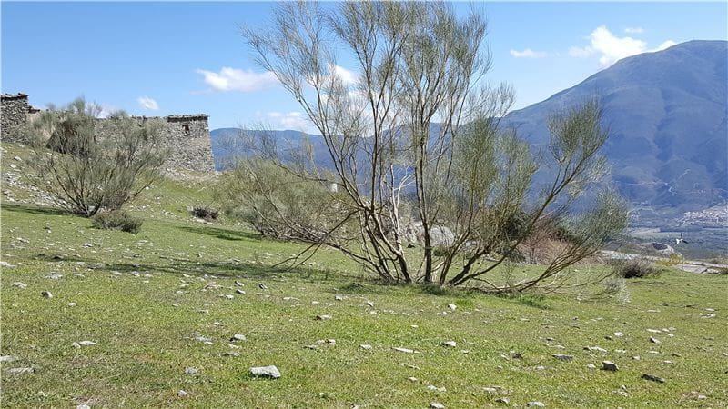 Landgrundstück zu verkaufen in Soportujar - 74.000 € (Ref: 9479513)