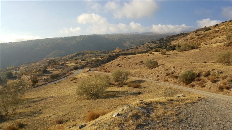 Landgrundstück zu verkaufen in Soportujar - 74.000 € (Ref: 9479513)