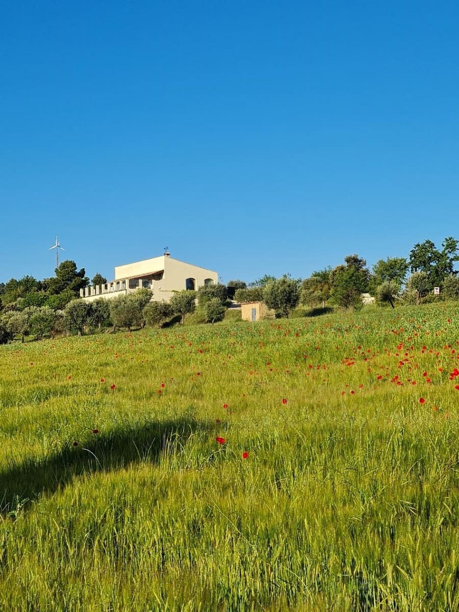 3 bedroom Villa for sale in Valderrobres with pool - € 470,000 (Ref: 9479515)