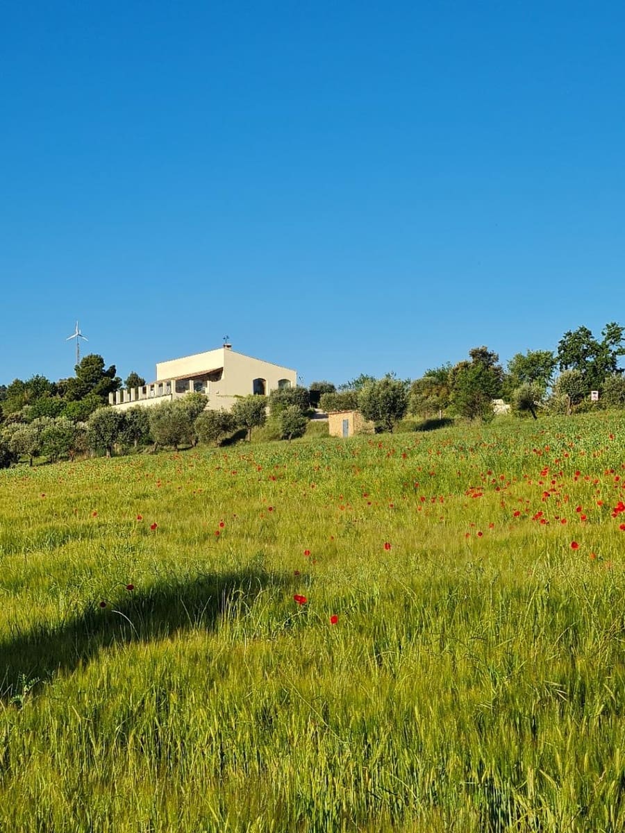 3 bedroom Villa for sale in Valderrobres with pool - € 470,000 (Ref: 9479515)