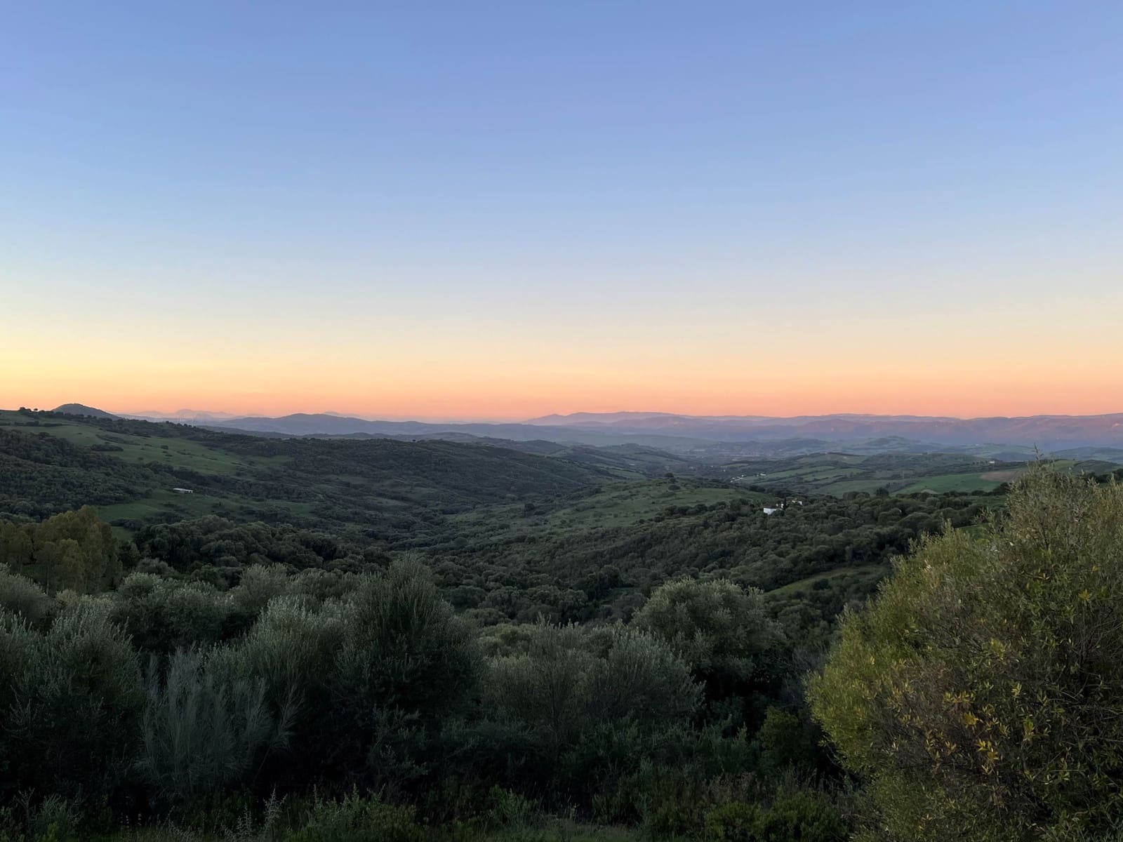 Chalet de 8 habitaciones en Gaucín en venta con piscina - 3.300.000 € (Ref: 9479520)