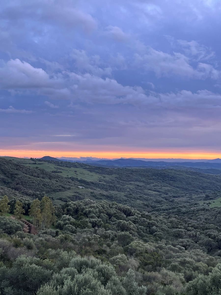 Chalet de 8 habitaciones en Gaucín en venta con piscina - 3.300.000 € (Ref: 9479520)