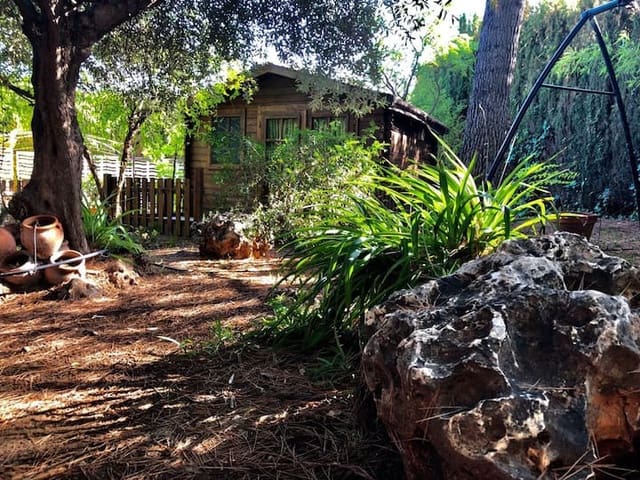 4 makuuhuone Huvila myytävänä paikassa L'Alcora mukana uima-altaan - 620 000 € (Ref: 9479526)