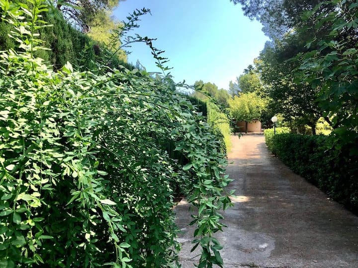 4 makuuhuone Huvila myytävänä paikassa L'Alcora mukana uima-altaan - 620 000 € (Ref: 9479526)