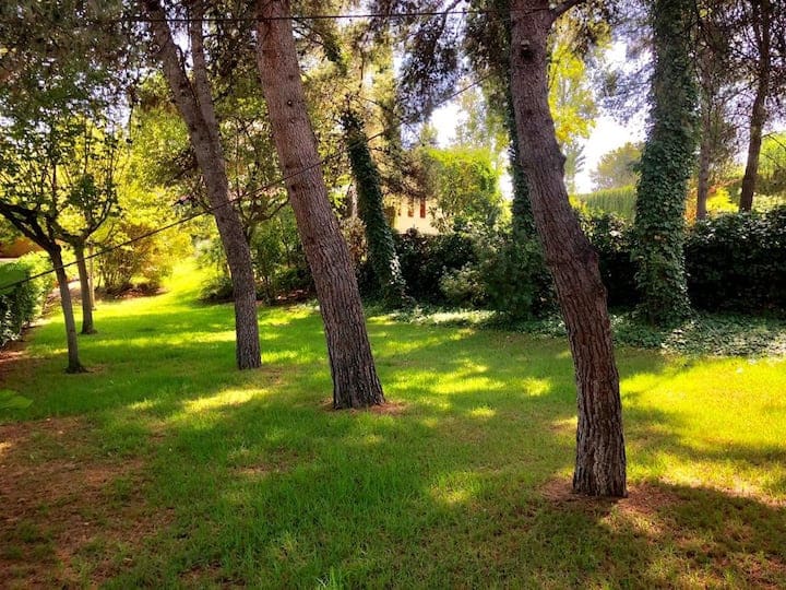 4 makuuhuone Huvila myytävänä paikassa L'Alcora mukana uima-altaan - 620 000 € (Ref: 9479526)