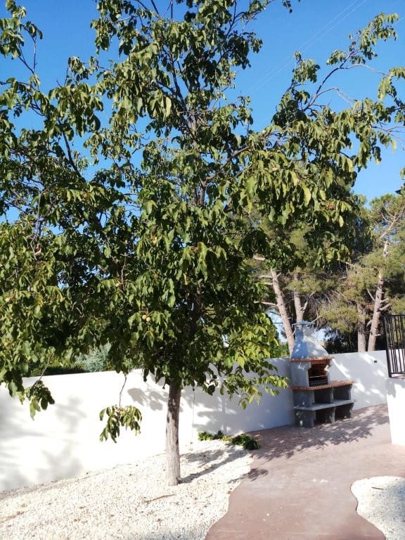 Finca/Casa Rural de 5 habitaciones en Cehegín en venta con piscina - 250.000 € (Ref: 9479535)