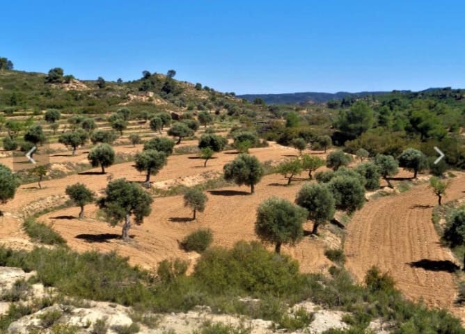 Terreno/Finca Rústica en Fabara en venta - 38.000 € (Ref: 9479539)