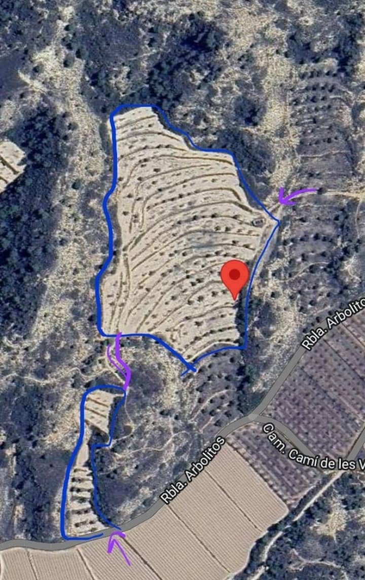 Terreno/Finca Rústica en Fabara en venta - 38.000 € (Ref: 9479539)