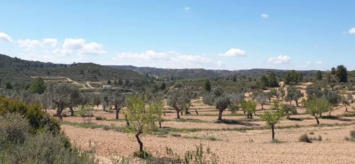 Terreno/Finca Rústica en Fabara en venta - 38.000 € (Ref: 9479539)