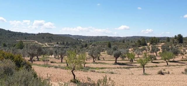 Terreno/Finca Rústica en Fabara en venta - 38.000 € (Ref: 9479539)