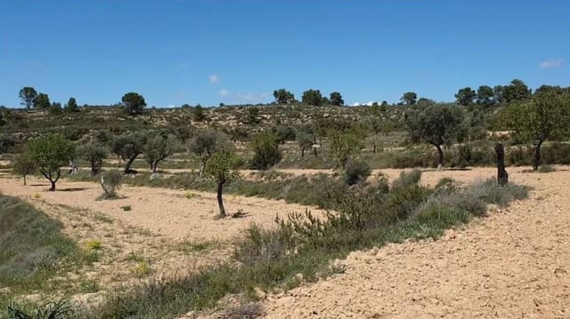 Terreno/Finca Rústica en Fabara en venta - 38.000 € (Ref: 9479539)