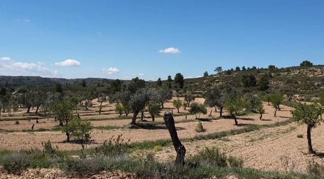 Terreno/Finca Rústica en Fabara en venta - 38.000 € (Ref: 9479539)