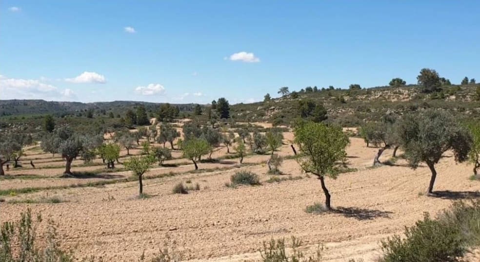Terreno/Finca Rústica en Fabara en venta - 38.000 € (Ref: 9479539)
