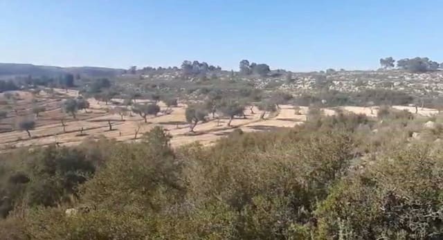 Terreno/Finca Rústica en Fabara en venta - 38.000 € (Ref: 9479539)