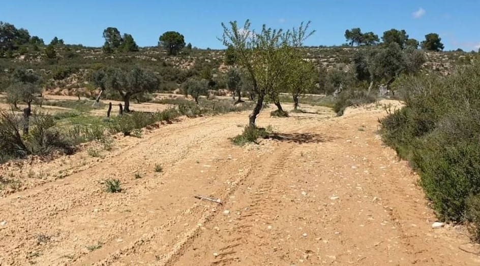 Terreno/Finca Rústica en Fabara en venta - 38.000 € (Ref: 9479539)