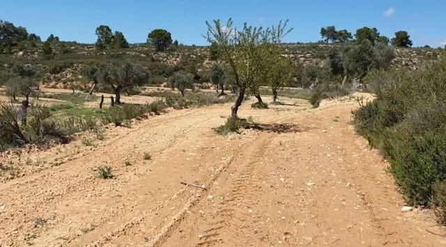 Terreno/Finca Rústica en Fabara en venta - 38.000 € (Ref: 9479539)