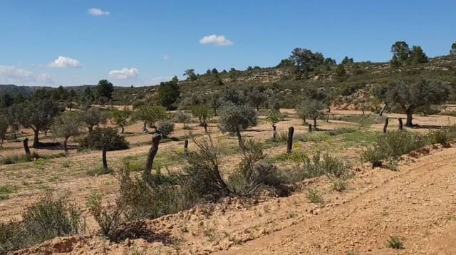 Terreno/Finca Rústica en Fabara en venta - 38.000 € (Ref: 9479539)