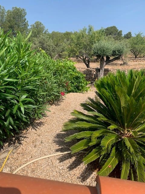 5 soveværelse Finca/Landehus til salg i El Perello med swimmingpool - € 550.000 (Ref: 9479541)